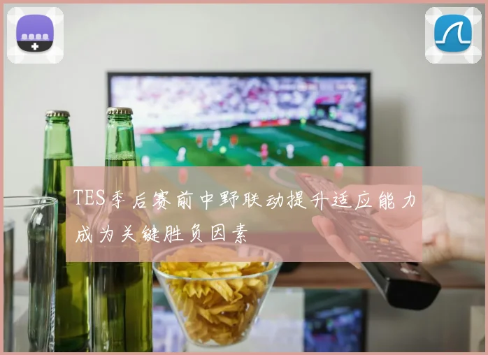 TES季后赛前中野联动提升适应能力成为关键胜负因素