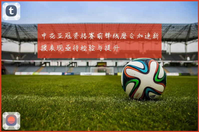 申花亚冠资格赛前锋线磨合加速新援表现亟待检验与提升